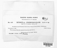 Image Associated With the Occurence